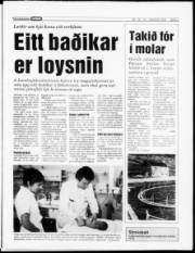 Síða 3