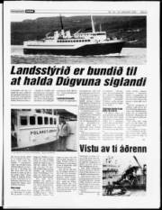 Síða 5