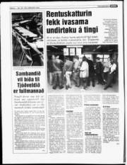 Síða 6