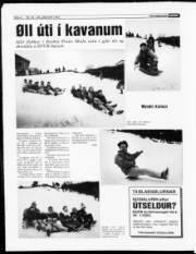 Síða 8