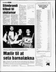 Síða 11