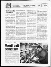 Síða 2