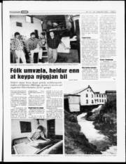 Síða 3