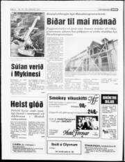 Síða 4