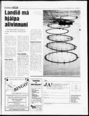 Síða 12