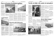 Síða 2