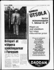 Síða 5