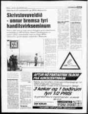 Síða 6