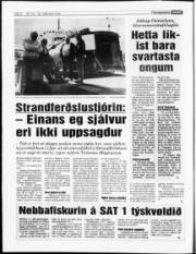 Síða 8
