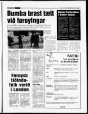 Síða 13