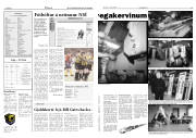 Síða 10