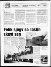 Síða 2