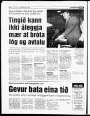 Síða 8