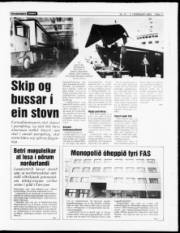Síða 11