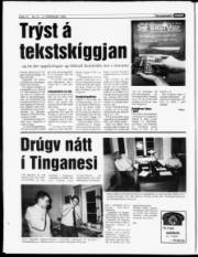Síða 12