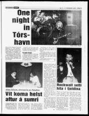 Síða 13