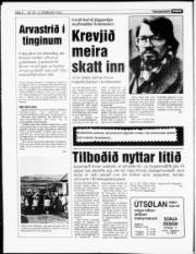 Síða 6