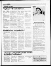 Síða 17