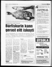 Síða 6