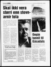 Síða 7