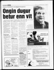 Síða 19