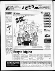 Síða 24