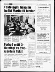Síða 5