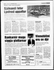 Síða 6