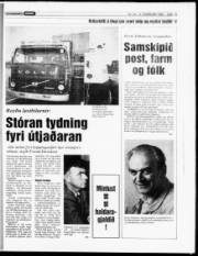 Síða 15