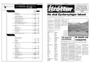 Síða 11