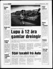 Síða 3
