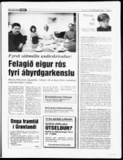 Síða 7