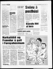Síða 15