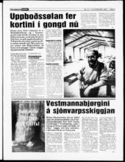 Síða 3