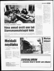 Síða 4