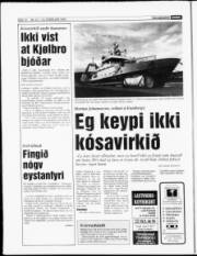 Síða 12