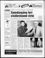 Síða 20