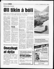 Síða 3
