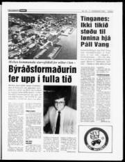 Síða 5