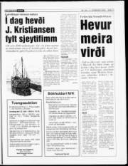 Síða 11