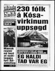 Síða 1