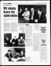 Síða 3