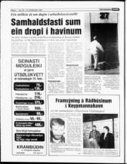 Síða 6