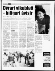 Síða 15
