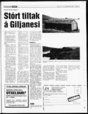 Síða 19