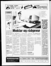 Síða 20