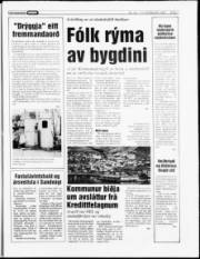 Síða 7