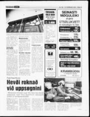 Síða 13