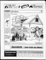 Síða 24