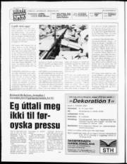 Síða 2